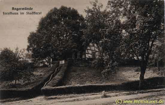 Revierförsterei Gehegemühle (Postkarte 1923)